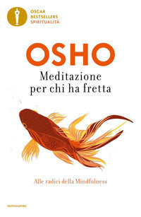 Meditazione per chi ha fretta 