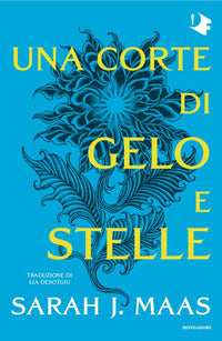 Corte di gelo e stelle 