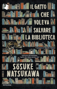 Gatto che voleva salvare la biblioteca 