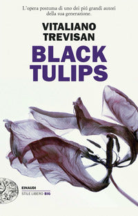 Black tulips 