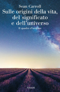 Sulle origini della vita del significato e dell'universo 