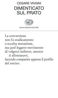 Dimenticato sul prato 
