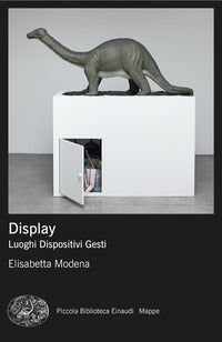 Display - luoghi dispositivi gesti 