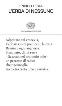 Erba di nessuno 