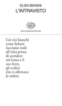 Intravisto 