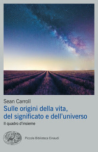 Sulle origini della vita del significato e dell'universo - il quadro d'insieme 