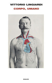 Corpo umano 
