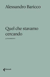 Quel che stavamo cercando - 33 frammenti 