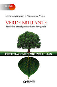 Verde brillante 