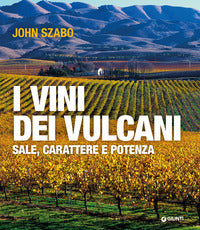 Vini dei vulcani - sale carattere e potenza 