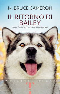 Ritorno di bailey 