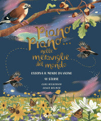 Piano piano nelle meraviglie mondo 