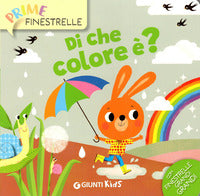 Di che colore e' ? 