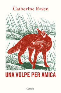 Volpe per amica 
