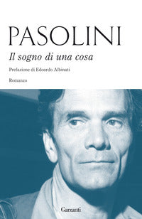 Sogno di una cosa 