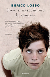Dove si nascondono le rondini 