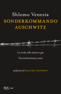 Sonderkommando auschwitz 