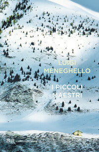Piccoli maestri 