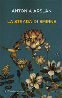 Strada di smirne 