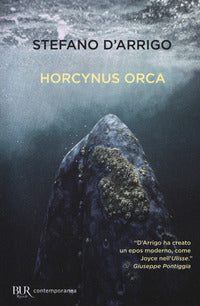 Horcynus orca 