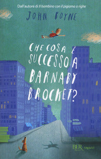 Che cosa e' successo a barnaby brocket ? 