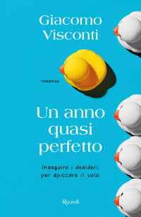 Anno quasi perfetto - inseguire i desideri per spiccare il volo 