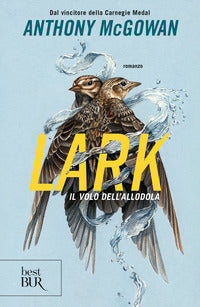 Lark - il volo dell'allodola 