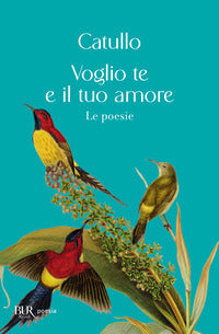 Voglio te e il tuo amore 