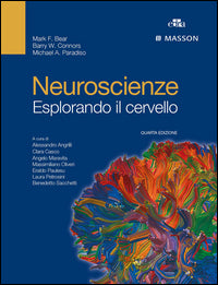 Neuroscienze esplorando il cervello 