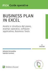 Business plan in excel - con software 