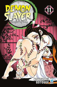 Demon slayer 11 