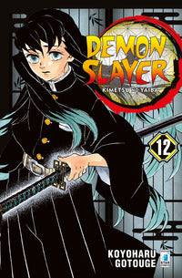 Demon slayer 12 