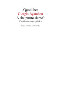 A che punto siamo ? - l'epidemia come politica 