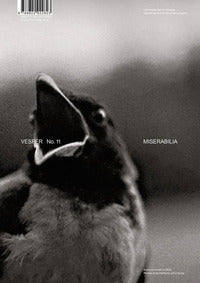 Vesper 11/2024 - rivista di architettura arti e teoria -journal of architecture arts & theory 