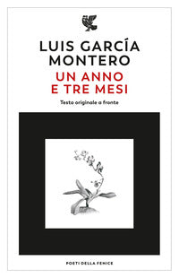 Anno e tre mesi 