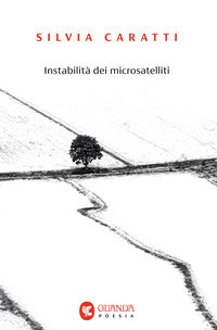 Instabilit? dei microsatelliti 