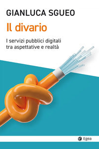 Divario - i servizi pubblici digitali tra aspettative e realta' 