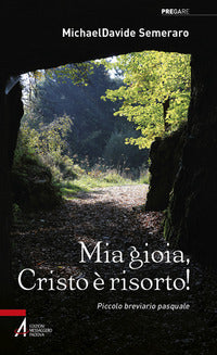 Mia gioia cristo e' risorto ! meditazioni quotidiane da pasqua a pentecoste 