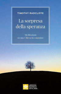 Sorpresi dalla speranza - meditazioni su una chiesa in cammino 