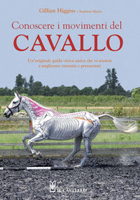 Conoscere i movimenti del cavallo 