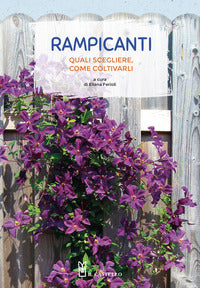 Rampicanti - quali scegliere come coltivarli 