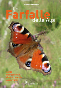 Farfalle delle alpi - come riconoscerle dove e quando osservarle 