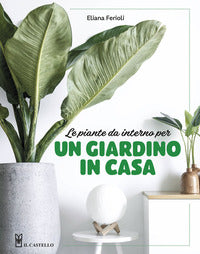 Giardino in casa - le piante da interno 