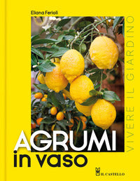 Agrumi in vaso - vivere il giardino 