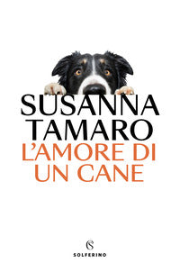 Amore di un cane 