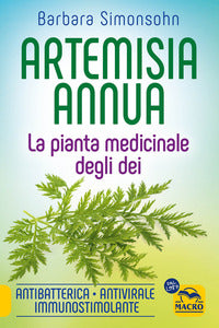 Artemisia annua - la pianta medicinale degli dei - antibatterica antivirale immunostimolante 