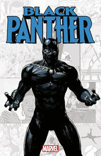 Black panther - marvel verse 