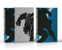 Cavaliere oscuro - batman 