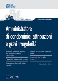 Amministratore di condominio attribuzioni e gravi irregolarita' 
