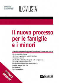 Nuovo processo per le famiglie e i minori 